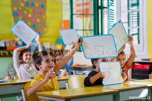 Primary school Primary school