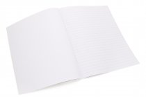 ORMOND 40pg NATURE STUDY COPY BOOK