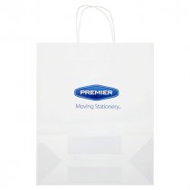 PREMIER PAPER BAG 320x138x400mm