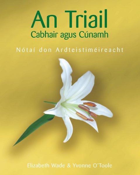 AN TRIAIL LEABHAR NOTAI (Notes for An Triail)