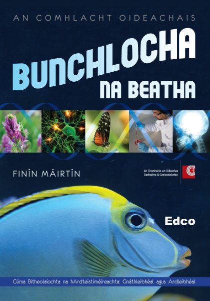 BUNCHLOCHA NA BEATHA