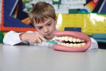 GIANT TEETH DEMONSTRATION SET