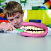 GIANT TEETH DEMONSTRATION SET