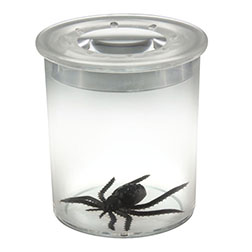 BUG VIEWER STANDARD 5x