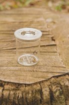 BUG VIEWER STANDARD 5x