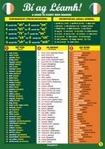 Bí ag Léamh!-Glance Card