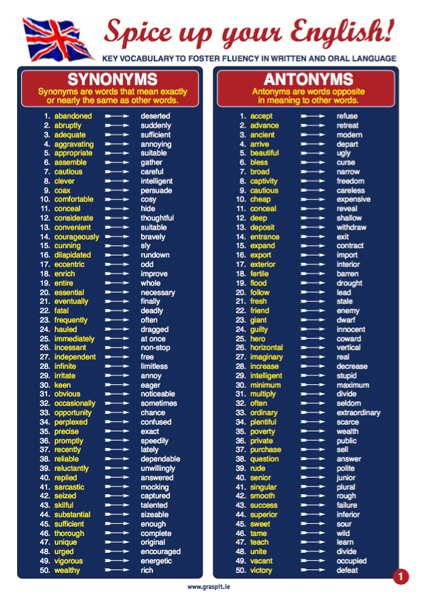 Spice up your English!-Glance Card