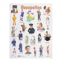 SPECIAL OFFER A2 Wall Charts 12 Asst