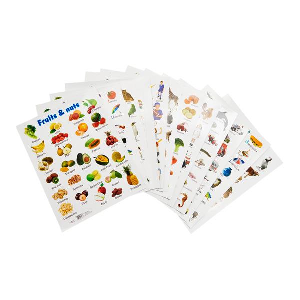 SPECIAL OFFER A2 Wall Charts 12 Asst