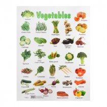 SPECIAL OFFER A2 Wall Charts 12 Asst