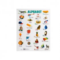 SPECIAL OFFER A2 Wall Charts 12 Asst