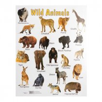SPECIAL OFFER A2 Wall Charts 12 Asst