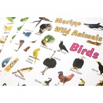 SPECIAL OFFER A2 Wall Charts 12 Asst