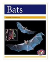 PM Library Gold Bats Non Fiction