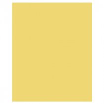 Premier Activity A2 180gsm Fluorescent Card - Asst