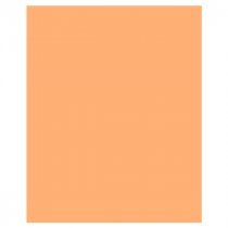 Premier Activity A2 180gsm Fluorescent Card - Asst