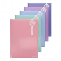 SALE PremtoPastel A4 2025 Page A Day Diary - Asst