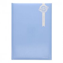 SALE PremtoPastel A4 2025 Page A Day Diary - Asst