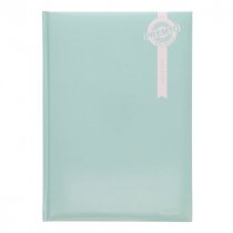 SALE PremtoPastel A4 2025 Page A Day Diary - Asst