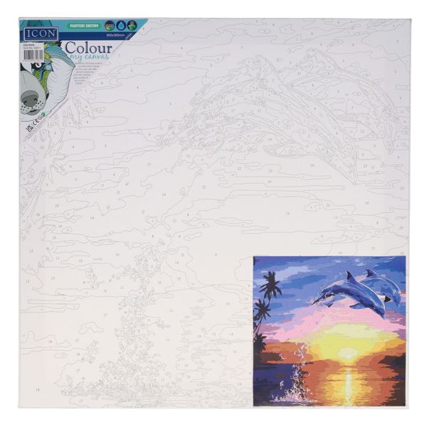 Icon 300x300mm Paint By Numbers Canvas - Dolphin