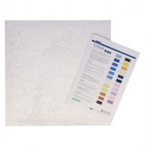 Icon 300x300mm Paint By Numbers Canvas - Dolphin