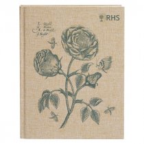 RHS Sketchbook – Rose