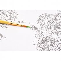 Icon 300x300mm Colour My Canvas - Fly Butterfly