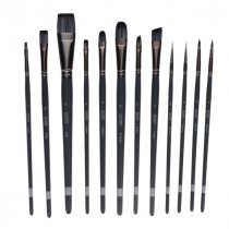 Icon Pk.12 Mix Media Taklon Brush Set
