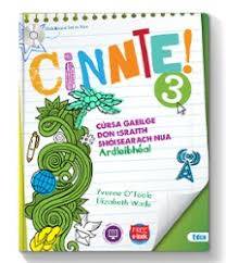 CINNTE 3 workbook only