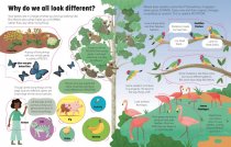 See Inside Genes and DNA-Hardback