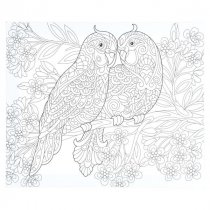Icon 250x300mm Colour My Canvas - Love Birds