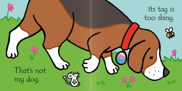 Usbourne Books That's not my dog