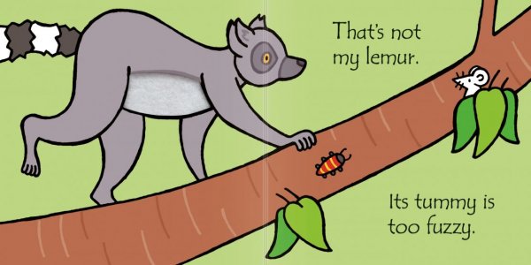 That's not my lemur