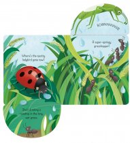 Little Lift and Look Bugs