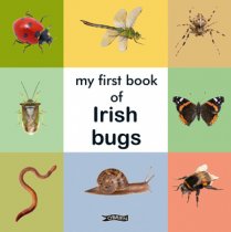 My First Book of Irish Bugs-Board Book
