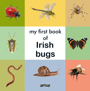 My First Book of Irish Bugs-Board Book