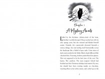 The Vanishing of Aveline Jones