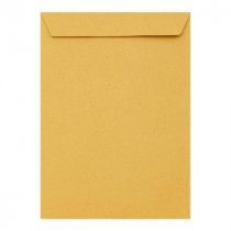 Envelope C4 Hoard Back