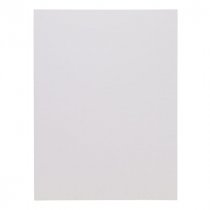 Icon 16"X12" Canvas Board