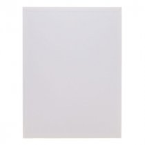 Icon 16"X12" Canvas Board