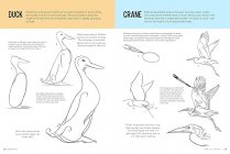 How to Draw 1- Learn to Draw step by Step