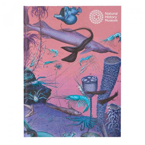 Natural History Museum A5 Hardbound Sketchbook - Sealife