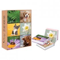 Memo Pads 180 sheets- Assorted