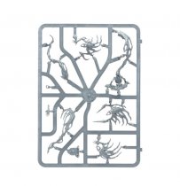 NightHaunt: Spirit Hosts