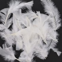 Icon Craft Feathers - White