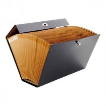 Concept Fc 19 Pocket Expanding File Carry Case