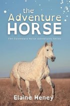 The Adventure Horse - Dyslexia Friendly: 5 (Connemara Pony Adventures Dyslexia Friendly)