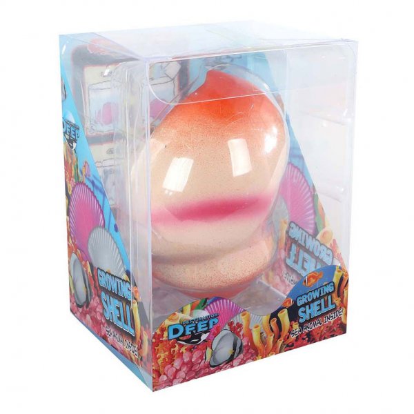 Growing Sea Animal - Assorted