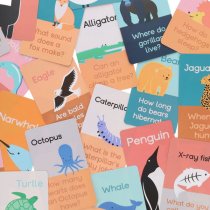 Ormond * Pkt.28 Flash Cards - About Animals