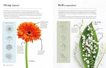 The Kew Book of Drawing Flowers
